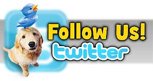 Twitter Us