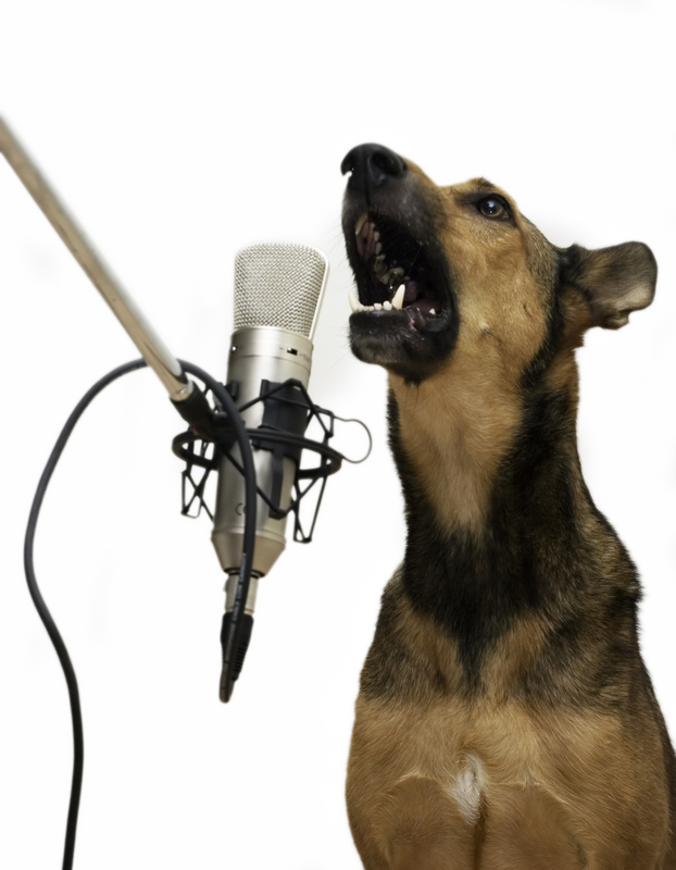 gund singing dog