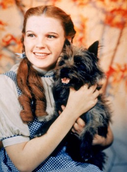 dorothy