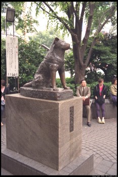 hachiko-statue