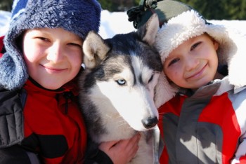 kids-husky