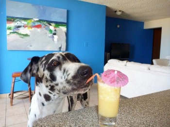 Well lookie here!  Somebody left me an umbrella drink!