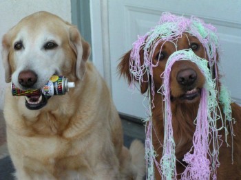 Aw, c'mon ma!  It's only a little silly string!