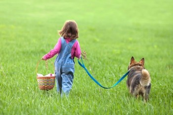 http://www.dreamstime.com/stock-photography-girl-walking-dog-little-field-back-to-camera-image31013582