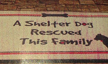 Shelter Mat