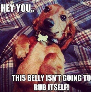 Belly Rubs 2