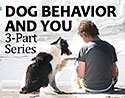 Dog Behavior 