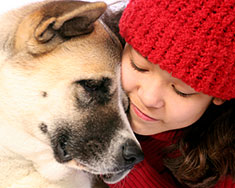 Akita dog and girl