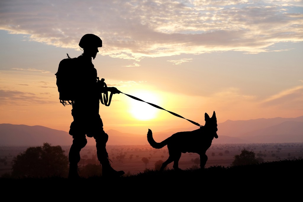 Silhouettes of soldier and dog on sunset background. Military se