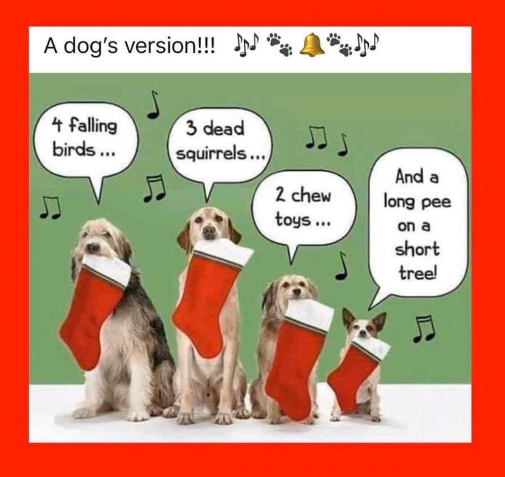 Dog days of Christmas | Doggies.com Dog Blog