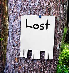 Lost Dog sign