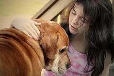 Girl comforting old dog
