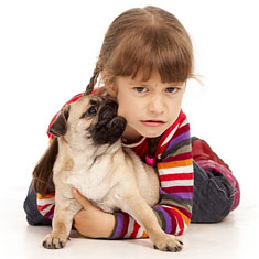 Pug dog biting child's cheek