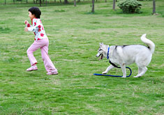 Child running from a dog