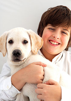 Boy and Golden Retriever Dog