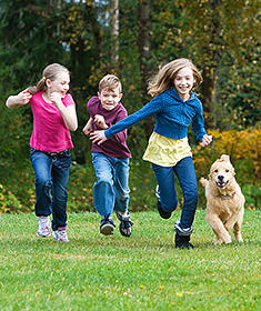 Kids running in park with dog