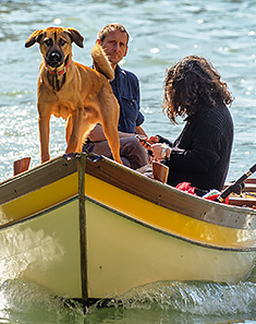 Dog and family on boat