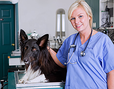 Vet and Dog in Operating Room