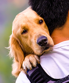 Dog cuddling on man's shoulder