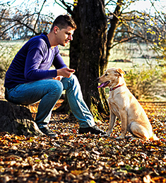 Man sitting in woods with dog practicing stay command