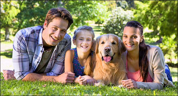 Family with Dog in a park