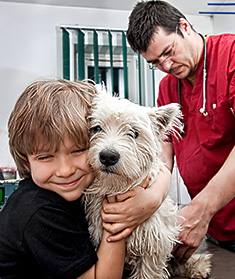 Young dog with boy and vet