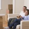 Moving Your Dog to a New Home
