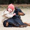 Safely Introducing Your Dog to Children